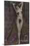 Nolly Dorey, Dancer at the Folies Bergere-null-Mounted Photographic Print