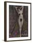 Nolly Dorey, Dancer at the Folies Bergere-null-Framed Photographic Print