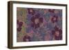 Nomad Flowers-Mindy Sommers-Framed Giclee Print