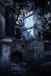 Mystery Medieval Piratical Castle in Forest at Night-Nomad Soul-Photographic Print