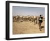 Nomadic Camel Herders Lead their Herd to a Watering Hole in Rural Somaliland, Northern Somalia-Mcconnell Andrew-Framed Premium Photographic Print