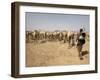 Nomadic Camel Herders Lead their Herd to a Watering Hole in Rural Somaliland, Northern Somalia-Mcconnell Andrew-Framed Photographic Print