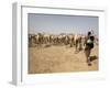 Nomadic Camel Herders Lead their Herd to a Watering Hole in Rural Somaliland, Northern Somalia-Mcconnell Andrew-Framed Photographic Print