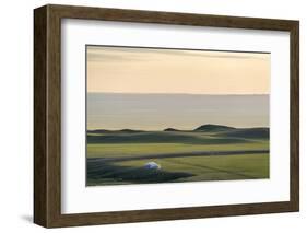 Nomadic camp and hills, Bayandalai district, South Gobi province, Mongolia, Central Asia, Asia-Francesco Vaninetti-Framed Photographic Print