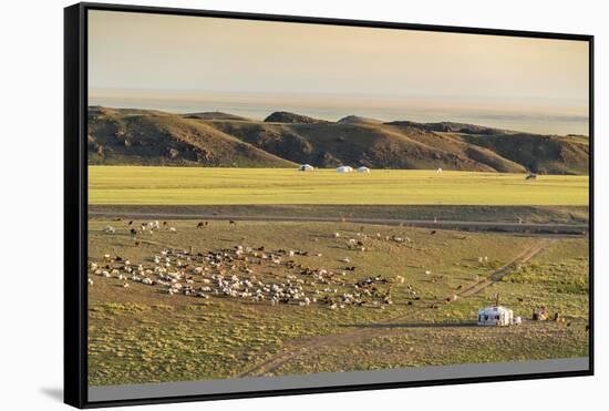 Nomadic camp and livestock, Bayandalai district, South Gobi province, Mongolia, Central Asia, Asia-Francesco Vaninetti-Framed Stretched Canvas