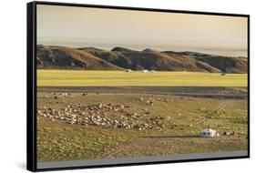 Nomadic camp and livestock, Bayandalai district, South Gobi province, Mongolia, Central Asia, Asia-Francesco Vaninetti-Framed Stretched Canvas