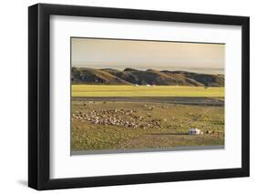 Nomadic camp and livestock, Bayandalai district, South Gobi province, Mongolia, Central Asia, Asia-Francesco Vaninetti-Framed Photographic Print