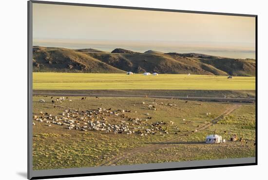 Nomadic camp and livestock, Bayandalai district, South Gobi province, Mongolia, Central Asia, Asia-Francesco Vaninetti-Mounted Photographic Print