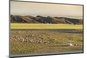 Nomadic camp and livestock, Bayandalai district, South Gobi province, Mongolia, Central Asia, Asia-Francesco Vaninetti-Mounted Photographic Print