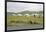 Nomadic family ger camp, Orkhon valley, South Hangay province, Mongolia, Central Asia, Asia-Francesco Vaninetti-Framed Photographic Print