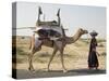 Nomadic Rabhari Tribeswoman Walking in the Kachchh Desert, Lakhdar District, Gujarat-Annie Owen-Stretched Canvas