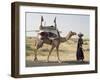 Nomadic Rabhari Tribeswoman Walking in the Kachchh Desert, Lakhdar District, Gujarat-Annie Owen-Framed Photographic Print