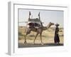 Nomadic Rabhari Tribeswoman Walking in the Kachchh Desert, Lakhdar District, Gujarat-Annie Owen-Framed Photographic Print