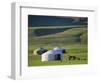 Nomads' Camp, Terkhin Valley, Arkhangai, Mongolia-Bruno Morandi-Framed Photographic Print