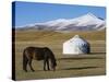 Nomads Horse and Yurt, Bayanbulak, Xinjiang Province, China, Asia-Christian Kober-Stretched Canvas