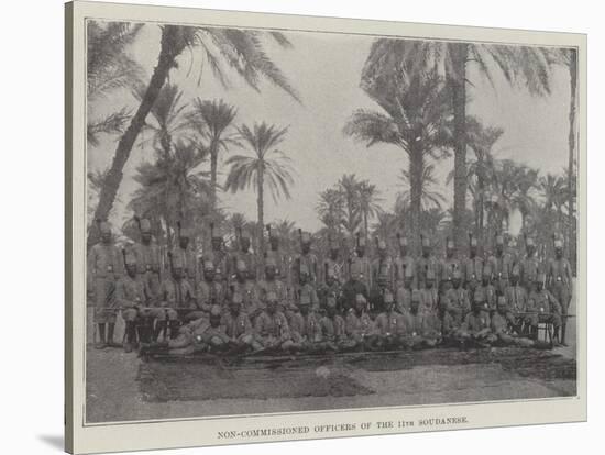 Non-Commissioned Officers of the 11th Soudanese-null-Stretched Canvas