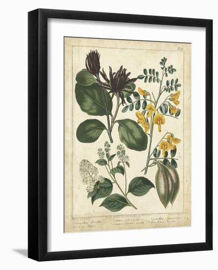 Non-Embellish Enchanted Garden I-Sydenham Teast Edwards-Framed Art Print