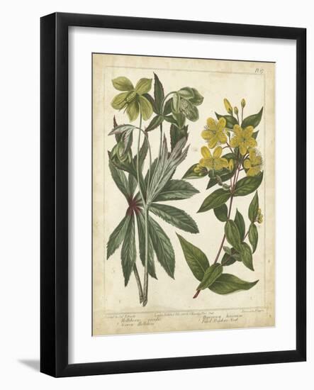 Non-Embellish Enchanted Garden III-Sydenham Teast Edwards-Framed Art Print