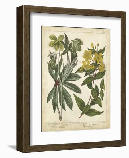 Non-Embellish Enchanted Garden III-Sydenham Teast Edwards-Framed Art Print