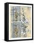 Non-embellish Wildflower Collage II-Jennifer Goldberger-Framed Stretched Canvas