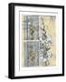 Non-embellish Wildflower Collage II-Jennifer Goldberger-Framed Art Print