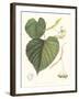 Non-embellished American Linden-Sprague-Framed Art Print