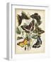 Non-Embellished Butterfly Haven II-Vision Studio-Framed Art Print