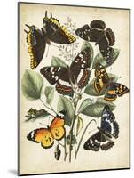 Non-Embellished Butterfly Haven II-Vision Studio-Mounted Art Print