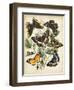 Non-Embellished Butterfly Haven II-Vision Studio-Framed Art Print