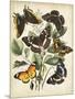 Non-Embellished Butterfly Haven II-Vision Studio-Mounted Art Print