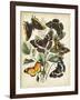 Non-Embellished Butterfly Haven II-Vision Studio-Framed Art Print