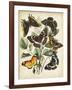 Non-Embellished Butterfly Haven II-Vision Studio-Framed Art Print