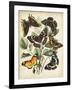 Non-Embellished Butterfly Haven II-Vision Studio-Framed Art Print