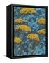 Non-Embellished Golden Yarrow II-null-Framed Stretched Canvas