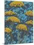 Non-Embellished Golden Yarrow II-null-Mounted Art Print