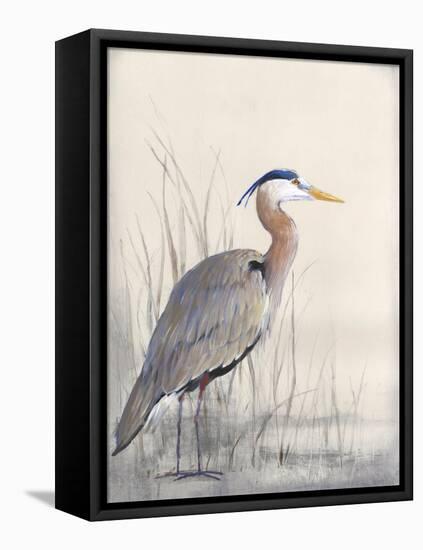 Non-Embellished Keeping Watch I-Tim O'toole-Framed Stretched Canvas