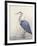 Non-Embellished Keeping Watch II-Tim O'toole-Framed Art Print