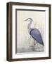 Non-Embellished Keeping Watch II-Tim O'toole-Framed Art Print