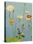 Non-Embellished Poppies II-null-Stretched Canvas