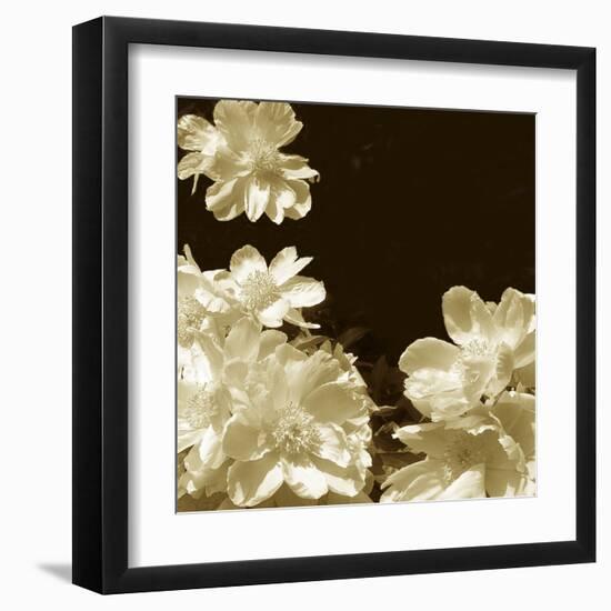 Non-Embellished Sepia Peonies I-null-Framed Art Print