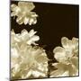 Non-Embellished Sepia Peonies I-null-Mounted Art Print