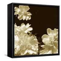 Non-Embellished Sepia Peonies I-null-Framed Stretched Canvas