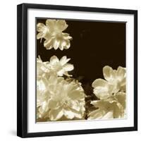 Non-Embellished Sepia Peonies I-null-Framed Art Print