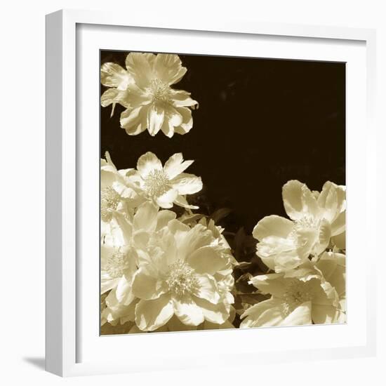 Non-Embellished Sepia Peonies I-null-Framed Art Print