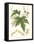 Non-embellished White Maple-Sprague-Framed Stretched Canvas