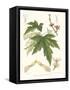 Non-embellished White Maple-Sprague-Framed Stretched Canvas