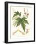 Non-embellished White Maple-Sprague-Framed Art Print