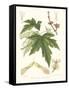 Non-embellished White Maple-Sprague-Framed Stretched Canvas