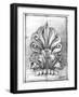 Non-Embld. Decorative Ornament I-Ethan Harper-Framed Art Print