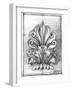 Non-Embld. Decorative Ornament I-Ethan Harper-Framed Art Print